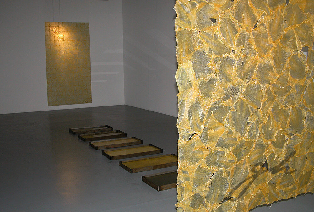 Exhibiciones Colectivas 2003 – Piel – Gabriela Hennig
